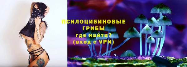 стафф Абинск