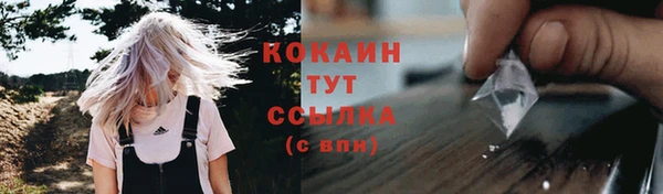 спиды Алзамай