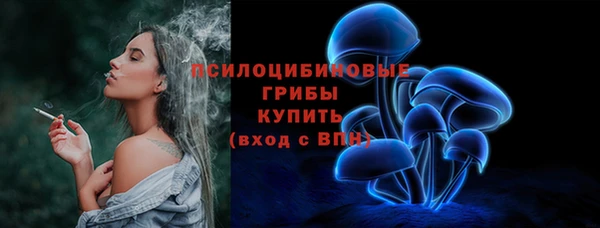 Альфа ПВП Абаза