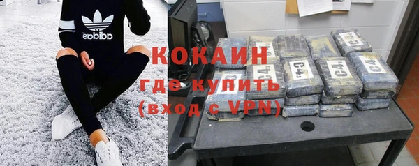 крисы Алексин