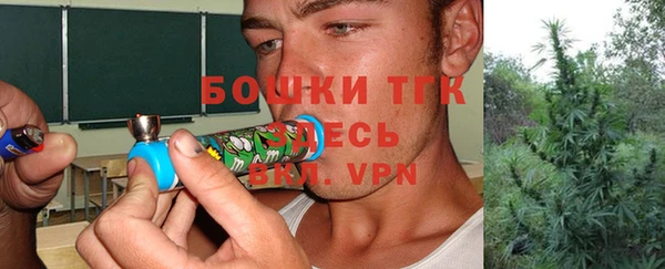 крисы Алексин